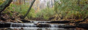 living in and moving to alliance ohio